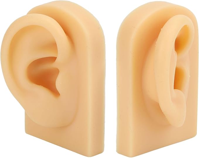 Realistic Ear Mold For Jewelry Display