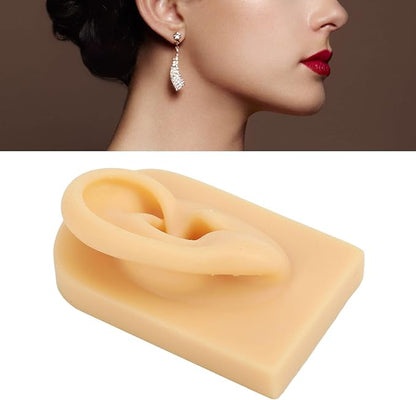 Realistic Ear Mold For Jewelry Display