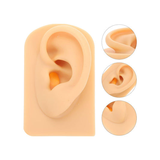 Realistic Ear Mold For Jewelry Display