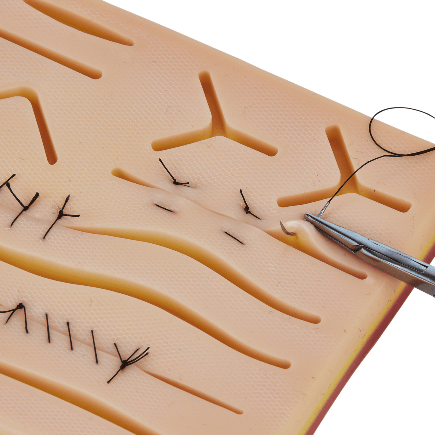 Suture Practice Kit - Full Tools